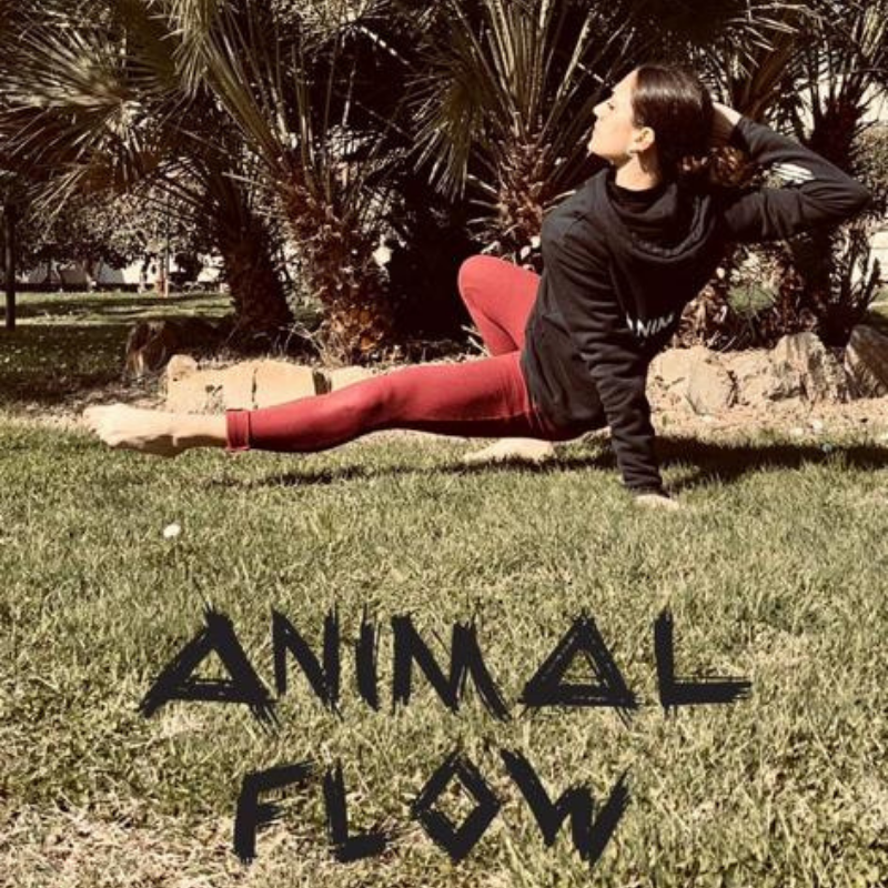 Animal Flow - Classes...