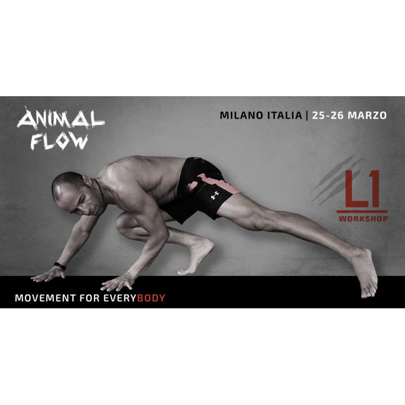 Workshop Animal Flow Level...