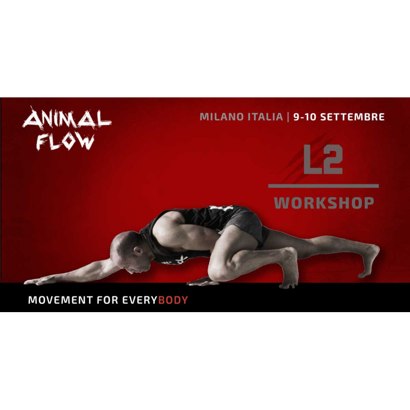 Workshop Animal Flow Level...